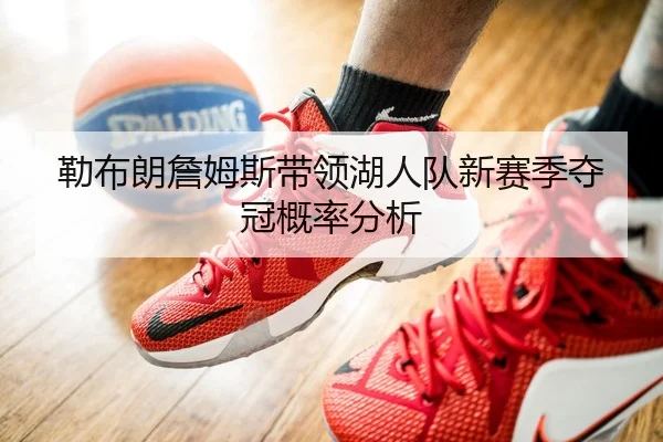 勒布朗詹姆斯带领湖人队新赛季夺冠概率分析